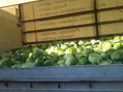 Погледајте слике везане за ову новости