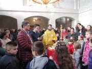 Погледајте слике везане за ову новости